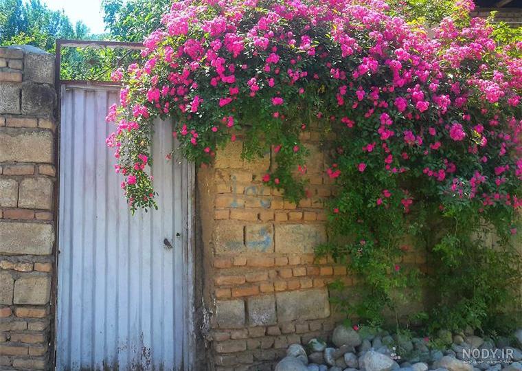 عکس بهاری دخترانه عکس بهاری دخترانه