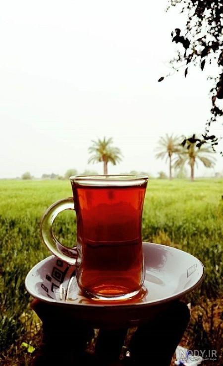 عکس چایی نبات