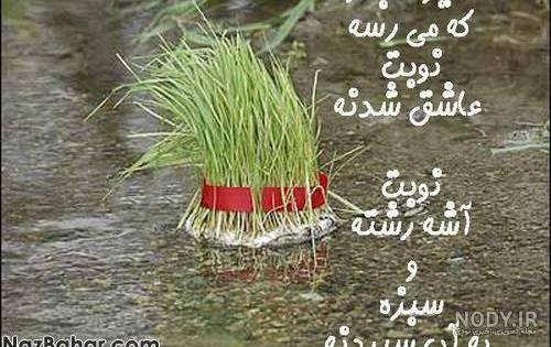 عکسهای از روز طبیعت