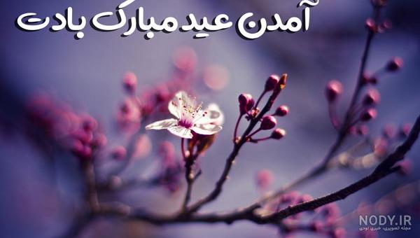 عکس بهار نوروزپور عکس بهار نوروزپور