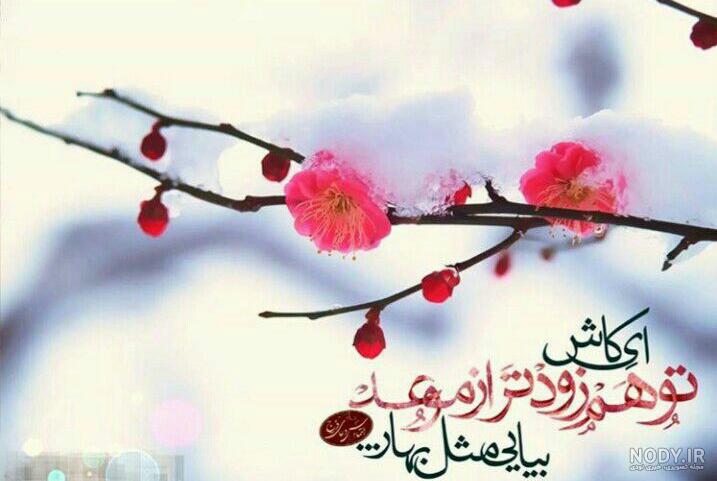 عکس عید مبارک عکس عید مبارک