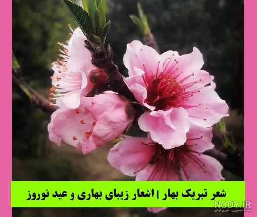 عکس عید نوروز در ایران عکس عید نوروز در ایران