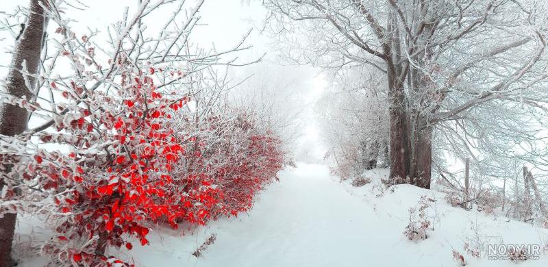 عکس منظره زیبا زمستانی