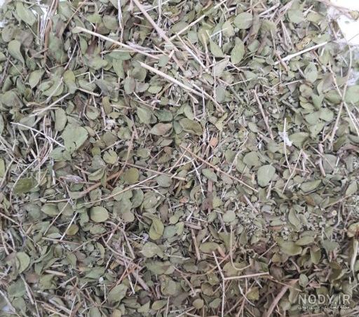 آویشن شیرازی و سرماخوردگی
