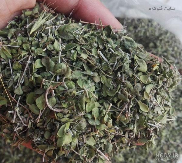 خواص آویشن شیرازی