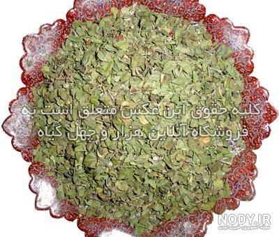 عکس آویشن شیرازی