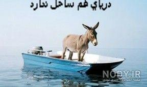 عکس دریا دانلود