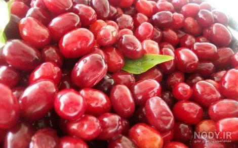 عکس لواشک خانگی