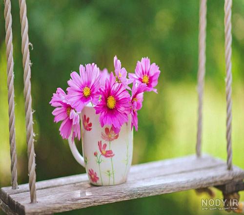 فانتزی عکس گل برای پروفایل واتساپ