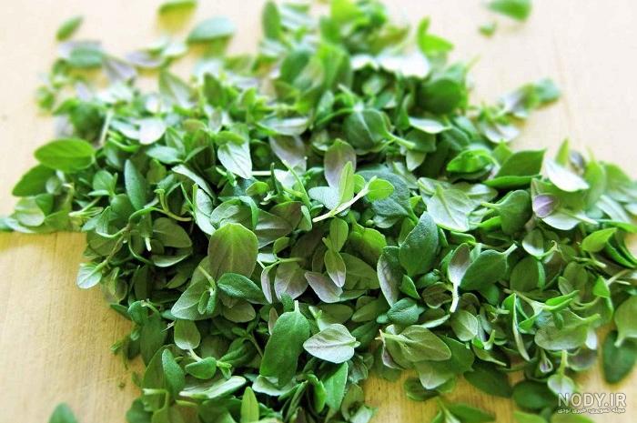 قیمت آویشن شیرازی