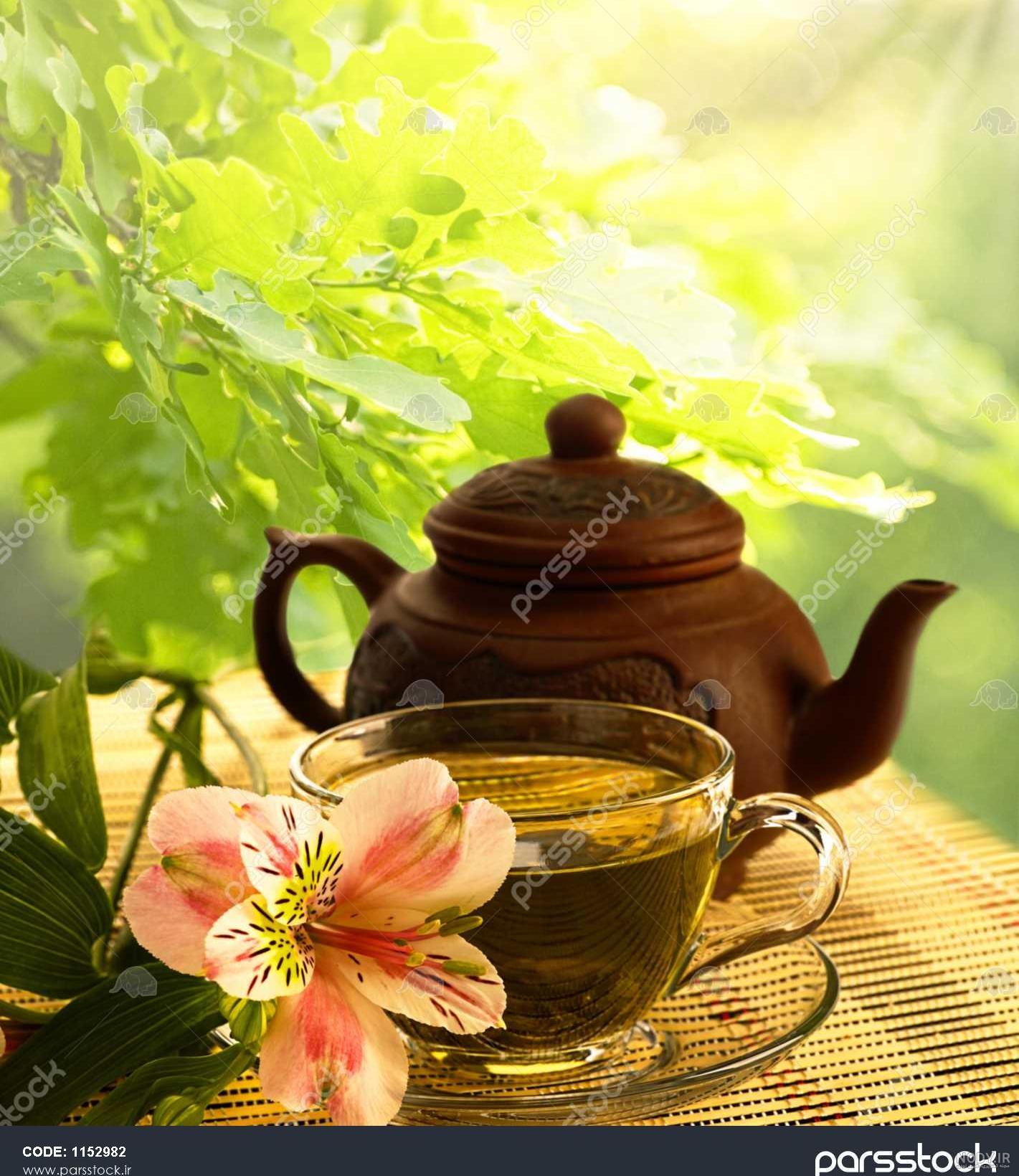 گل چای سیاه