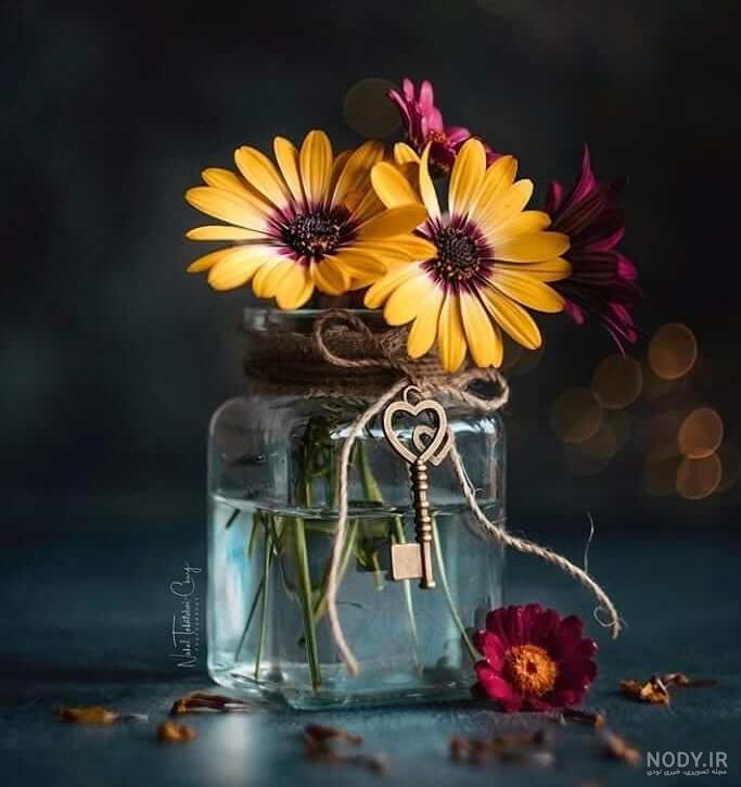 زیباترین عکس گل نوشته دار
