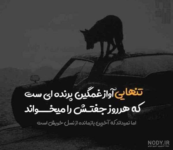 عکس بدون متن مفهومی عکس بدون متن مفهومی