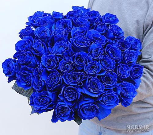 عکس دسته گل آبی رنگ