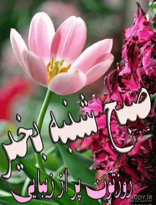 عکس صبح پنجشنبه تون بخیر