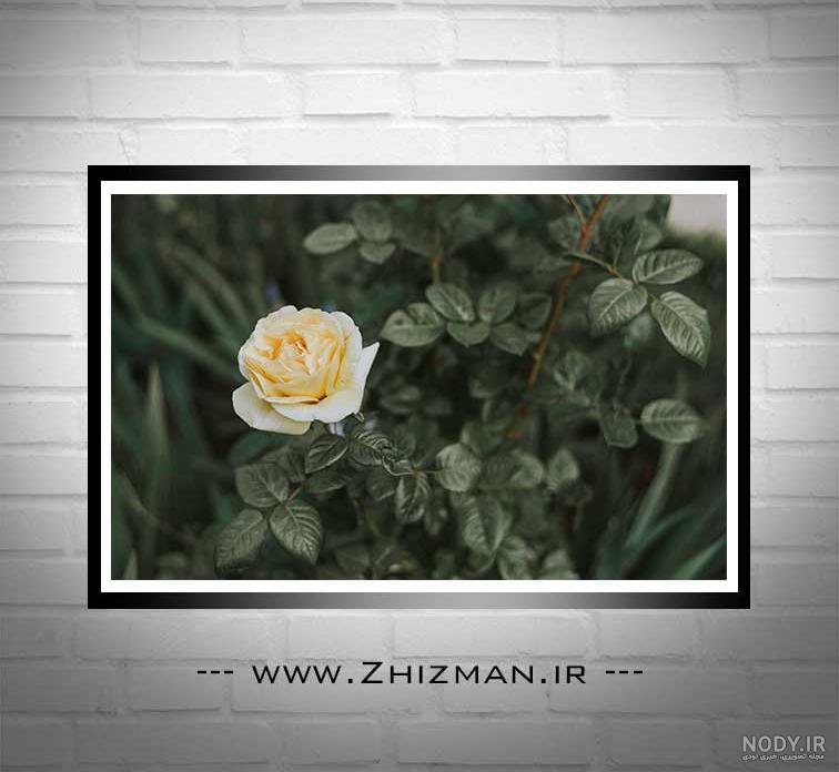 عکس نوشته تقدیم گل
