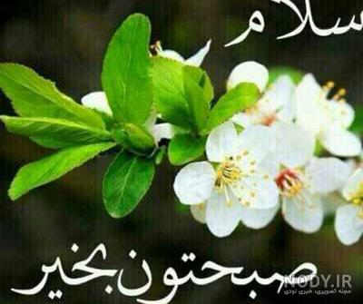 عکس یا حسین زیبا عکس یا حسین زیبا