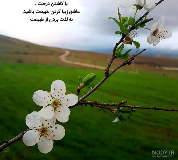 پروفایل بهاری خاص پروفایل بهاری خاص