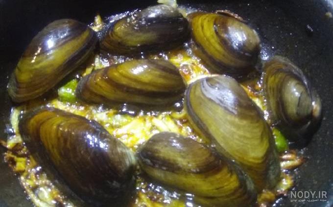 انواع سنگ صدف