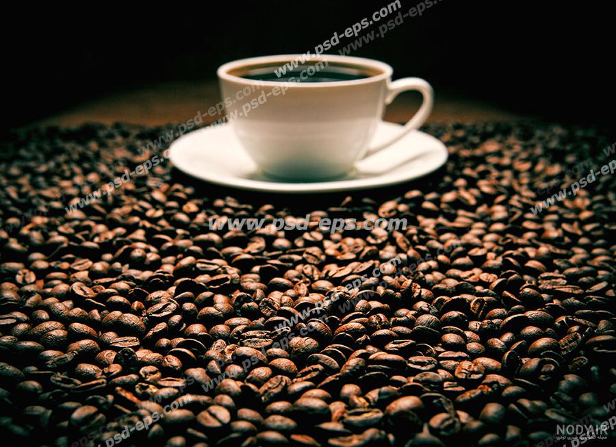 انواع قهوه و خواص آن