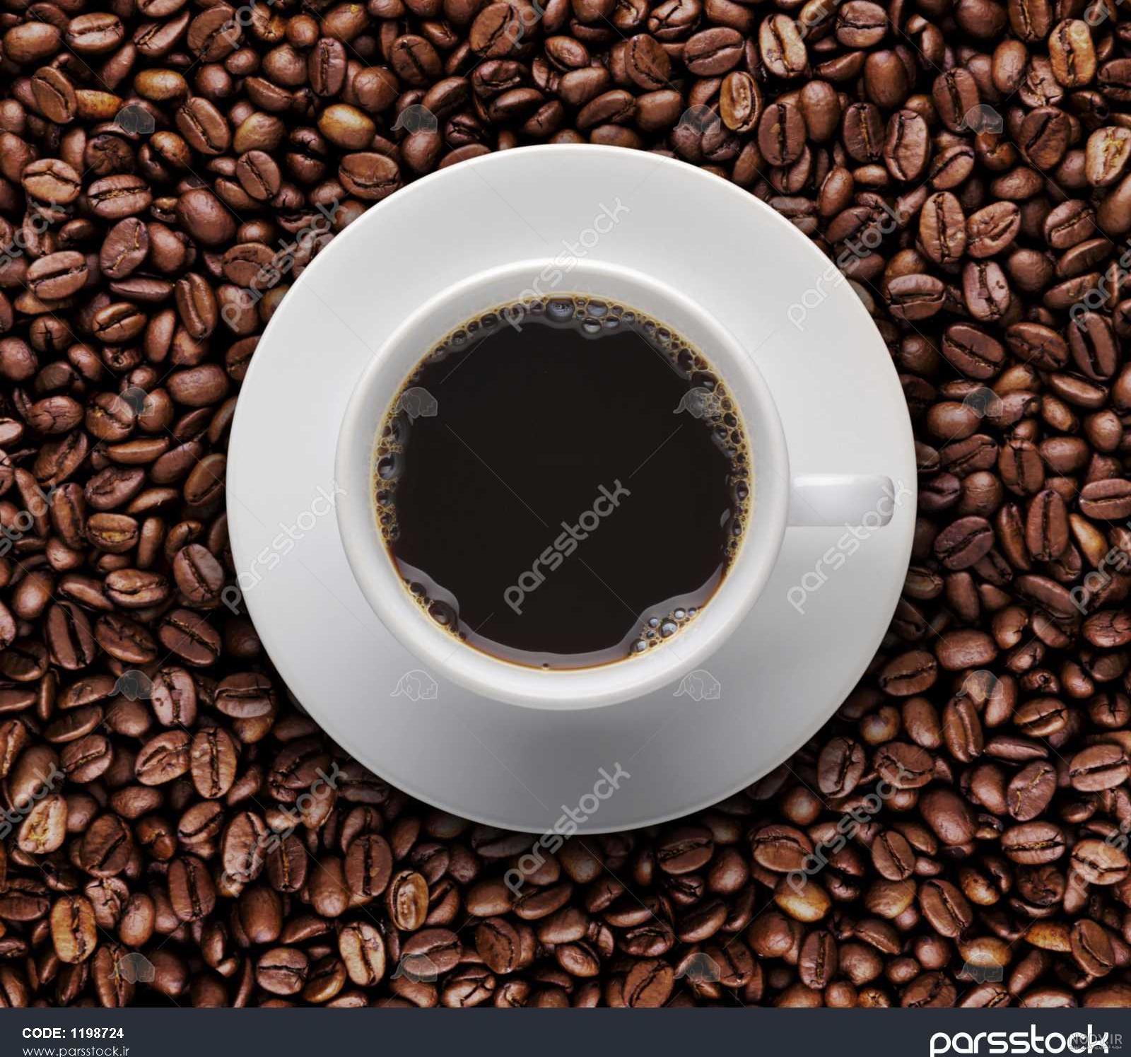 بهترین قهوه عربیکا