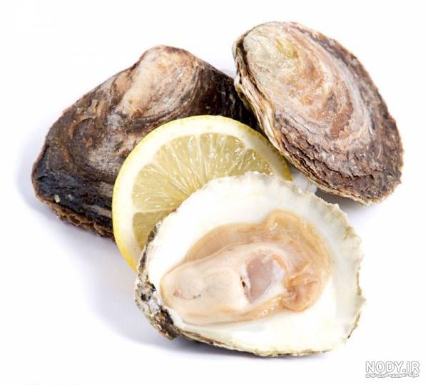 تشخیص صدف خوراکی