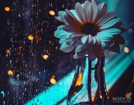 عکس خاص هنری