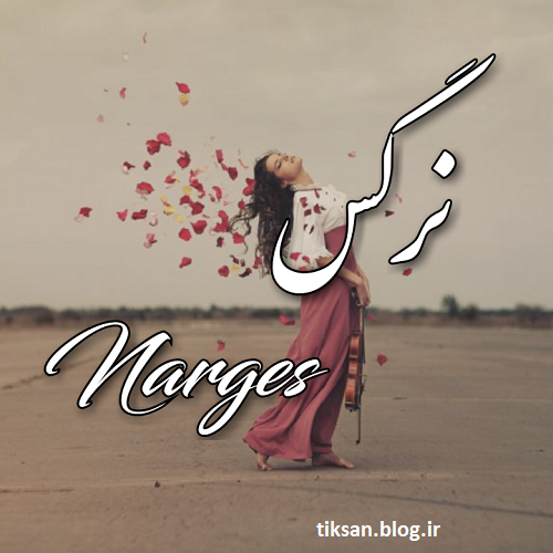 عکس در مورد گل نرگس عکس در مورد گل نرگس