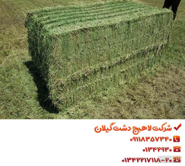 مقدار مصرف یونجه برای گاو مقدار مصرف یونجه برای گاو