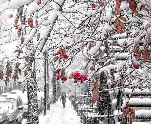 عکس نوشته های زیبای زمستانی