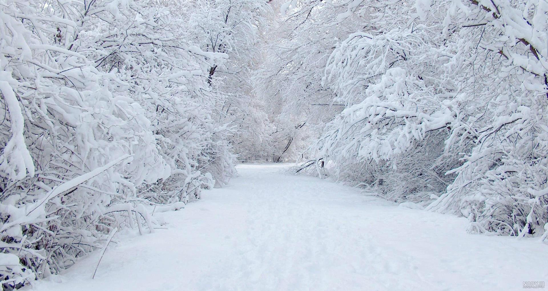 عکس پروفایل زمستانی خاص