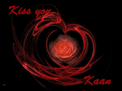 عکس گل عشق جدید عکس گل عشق جدید