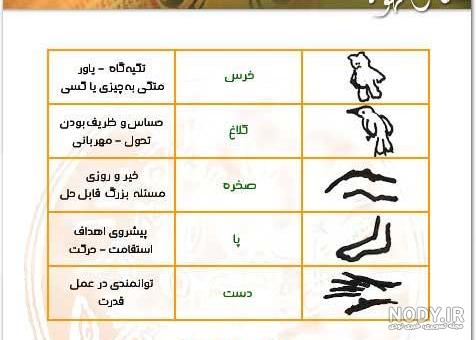 سگ در فال قهوه