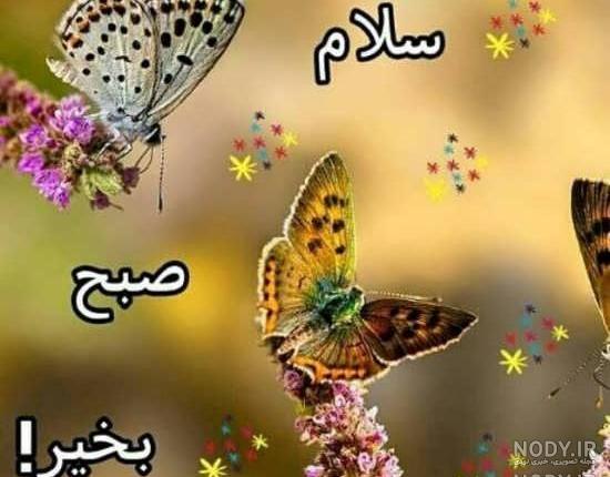 صبح بخیر خنده دار برای همسر صبح بخیر خنده دار برای همسر