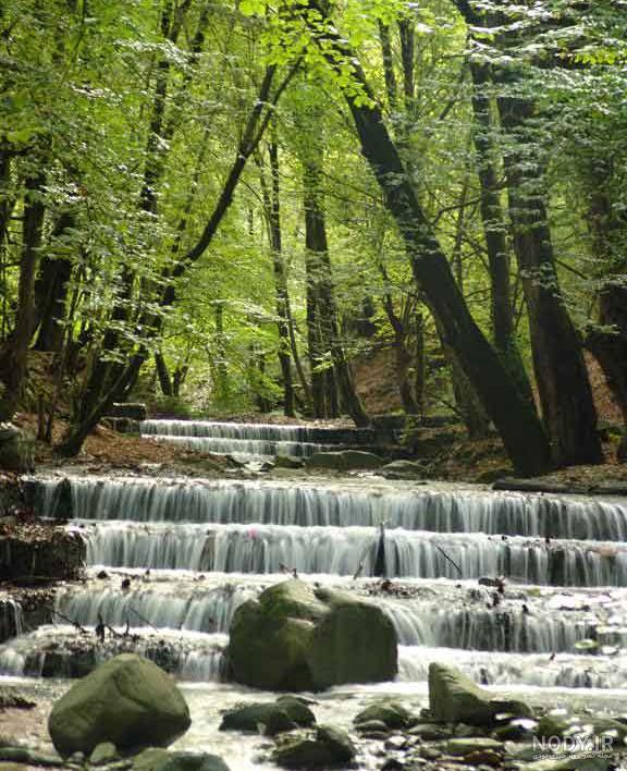 طبیعت شهر گرگان طبیعت شهر گرگان