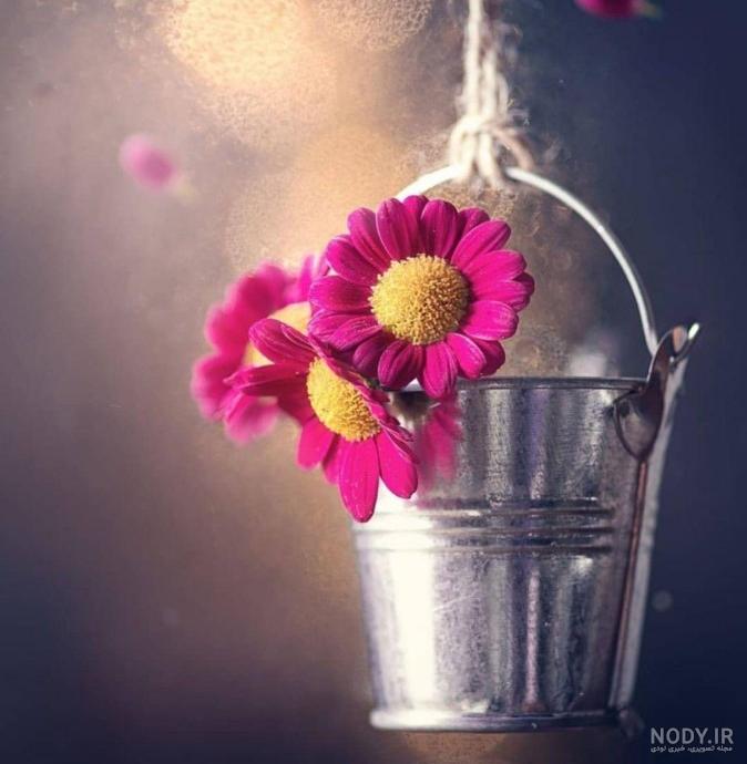 عکس زیبا