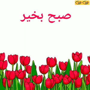 عکس صبح بخیر عربی عکس صبح بخیر عربی