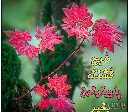 عکس متحرک برای سلام صبح بخیر عکس متحرک برای سلام صبح بخیر