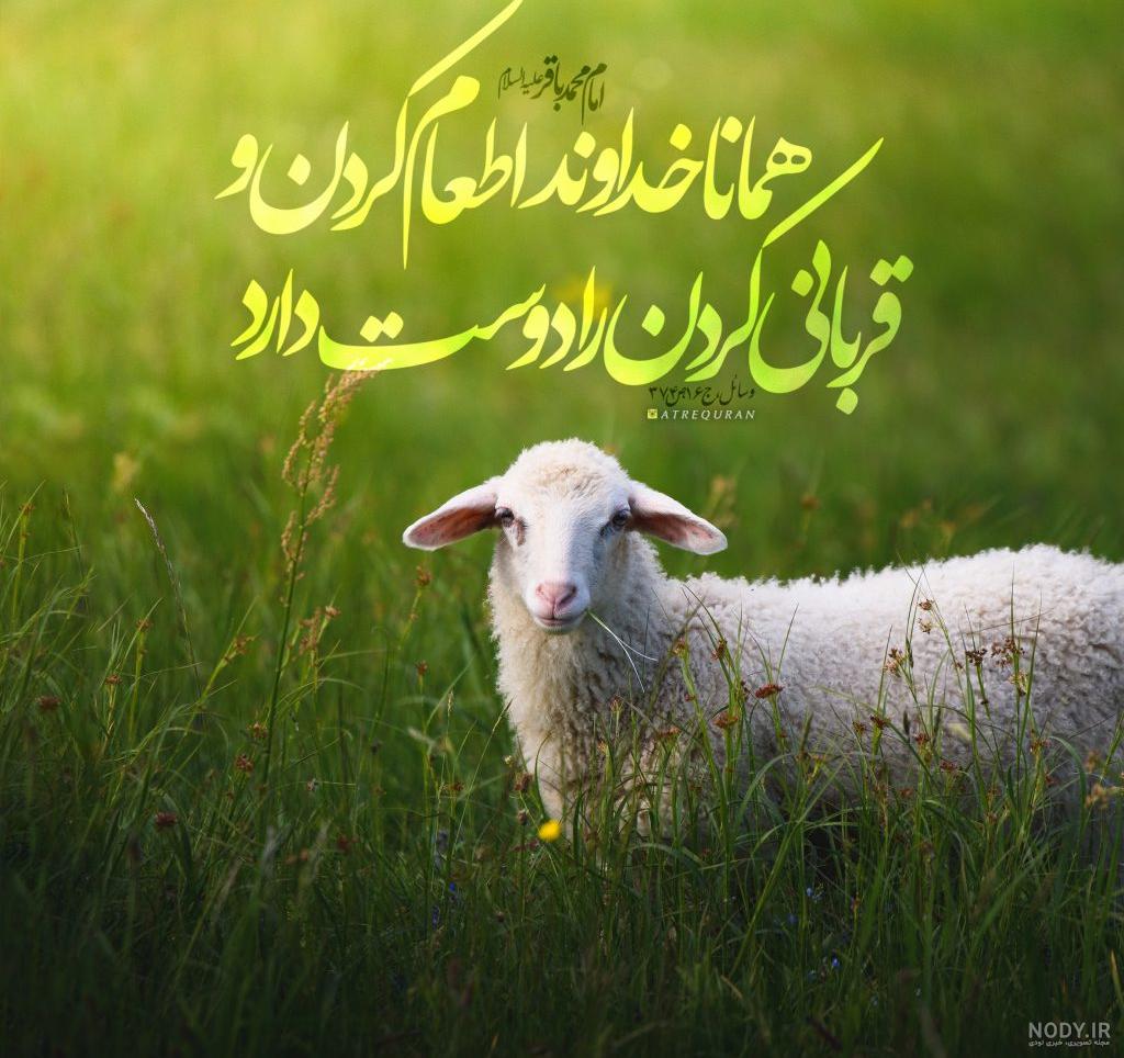 عکس نوشته قربانی