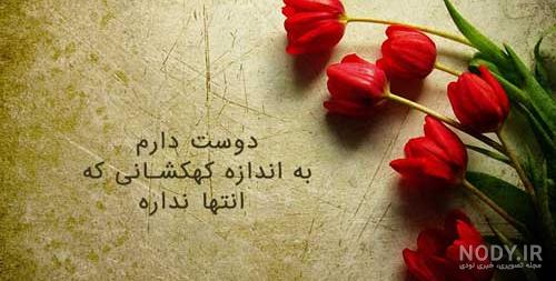 عکس گل لاله زرد عکس گل لاله زرد