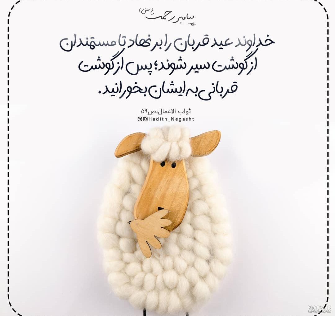 عکس گوسفندان خنده دار