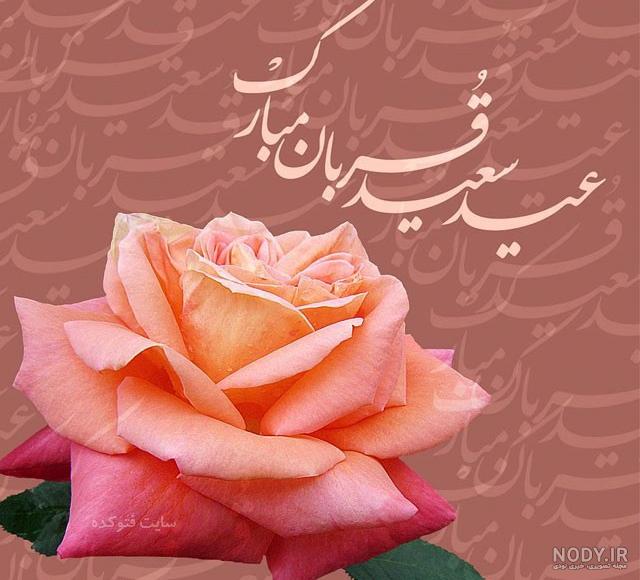 عکس گوسفندان رنگی