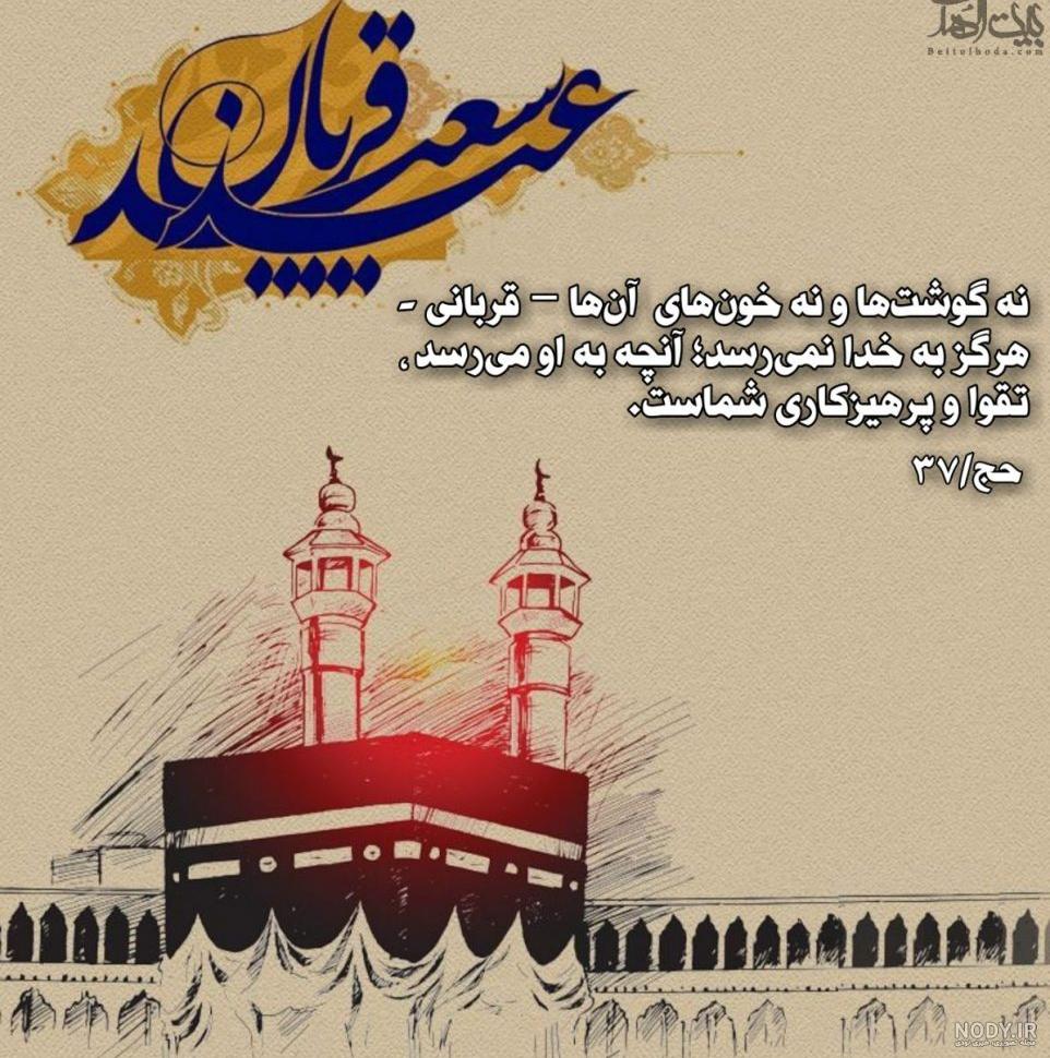 عکس گوسفندان زیبا