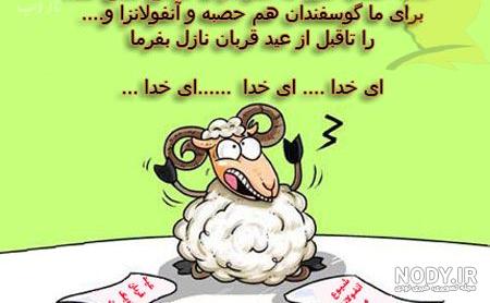 قربانی گاو