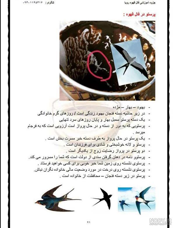 گربه در فال قهوه