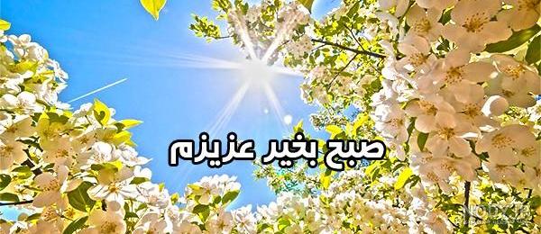جدیدترین متن صبح بخیر عاشقانه جدیدترین متن صبح بخیر عاشقانه