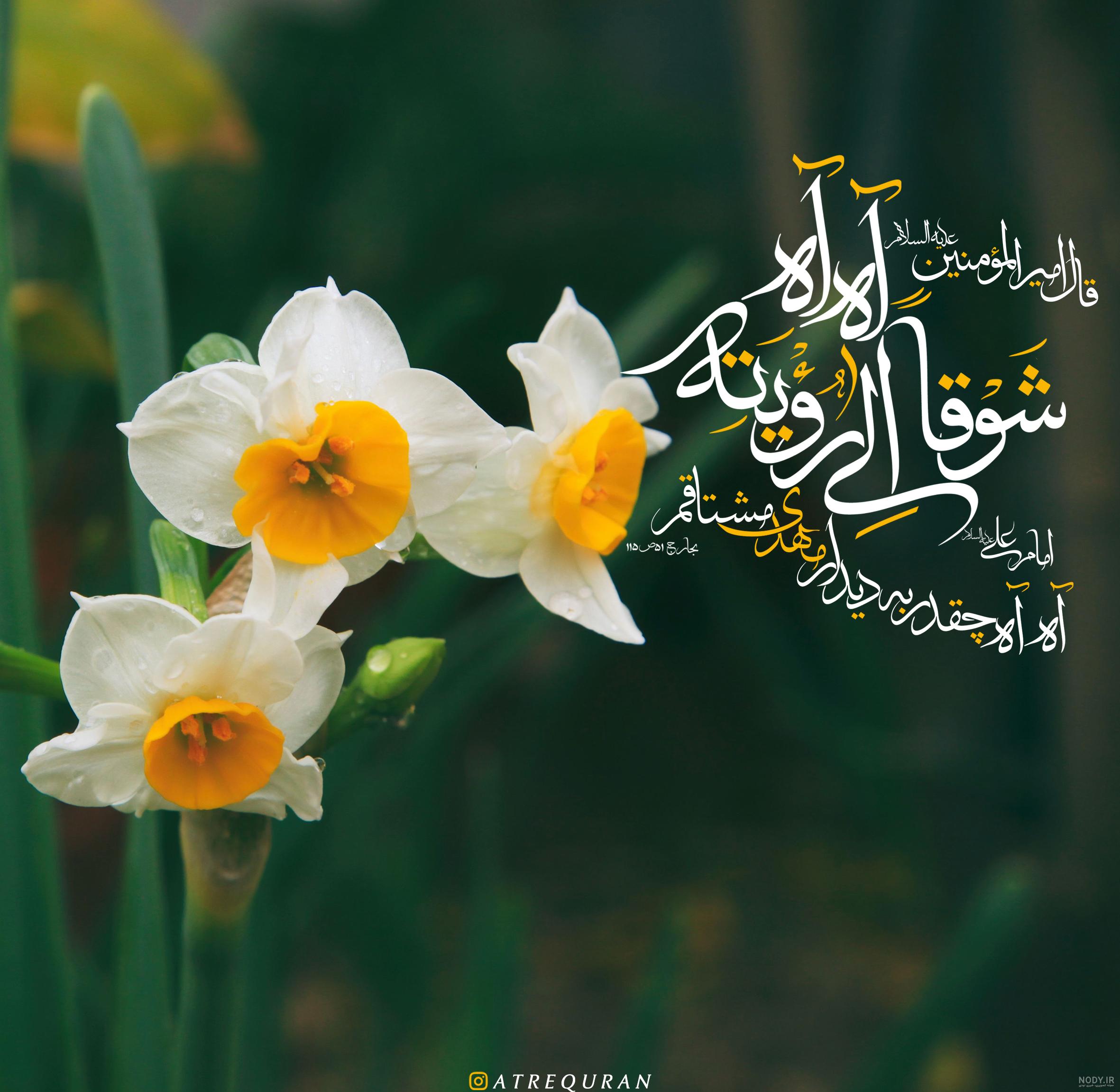 حدیث از امام زمان در مورد ظهور