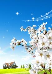 عکس پس زمینه موبایل عکس پس زمینه موبایل