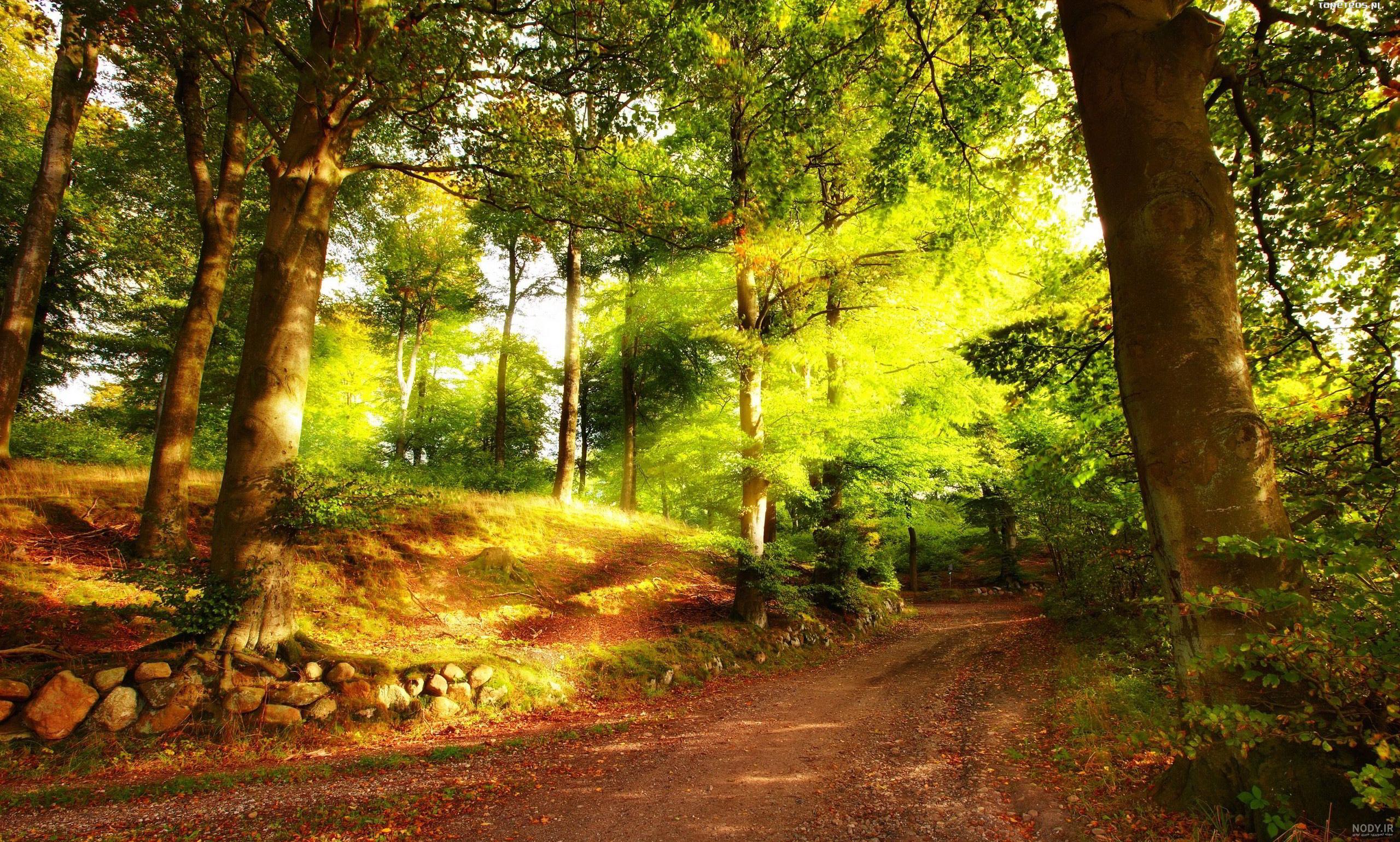 عکسهای طبیعت زیبای بهار