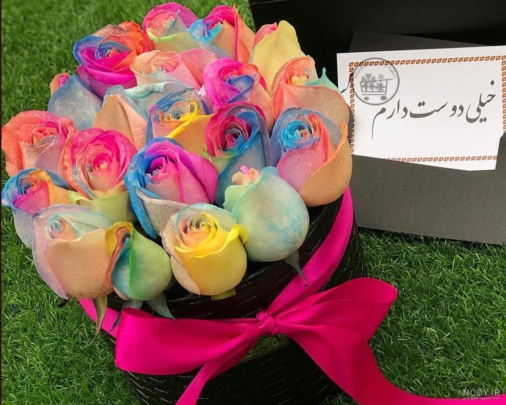 دانلود عکس گل رز زرد زیبا دانلود عکس گل رز زرد زیبا